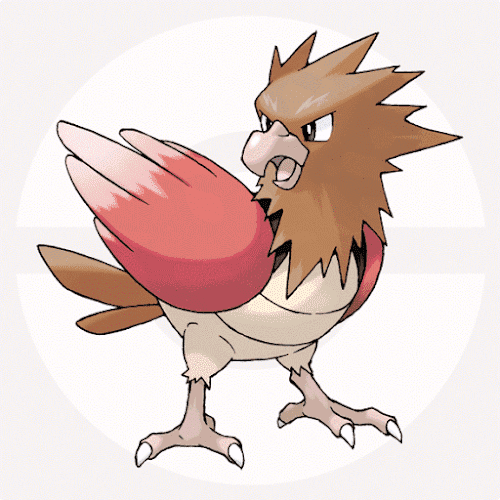 鳥ポケモンのモチーフ全部まとめてみた 前半 ルビーサファイアまで しえるの部屋 鳥ポケモンのモチーフ全部まとめてみた 前半 ルビーサファイアまで しえるの部屋